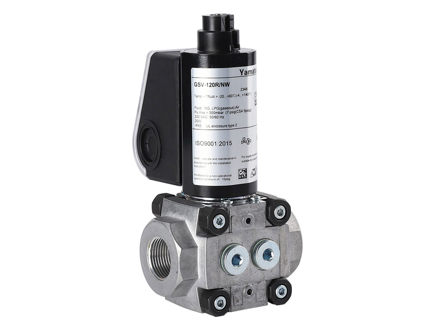 yamataha-gsv-120r-nw (3)